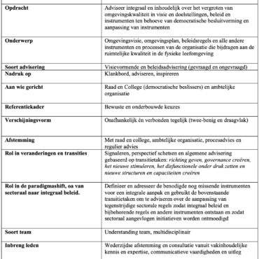 Strategische advisering